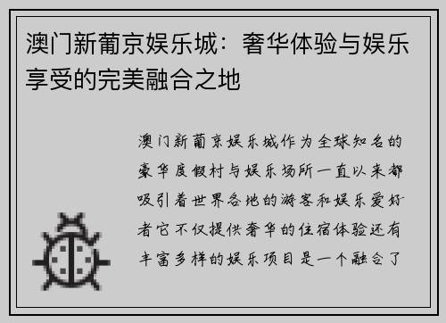 澳门新葡京娱乐城：奢华体验与娱乐享受的完美融合之地